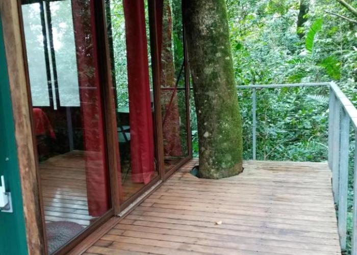 The Green Tree Lodge