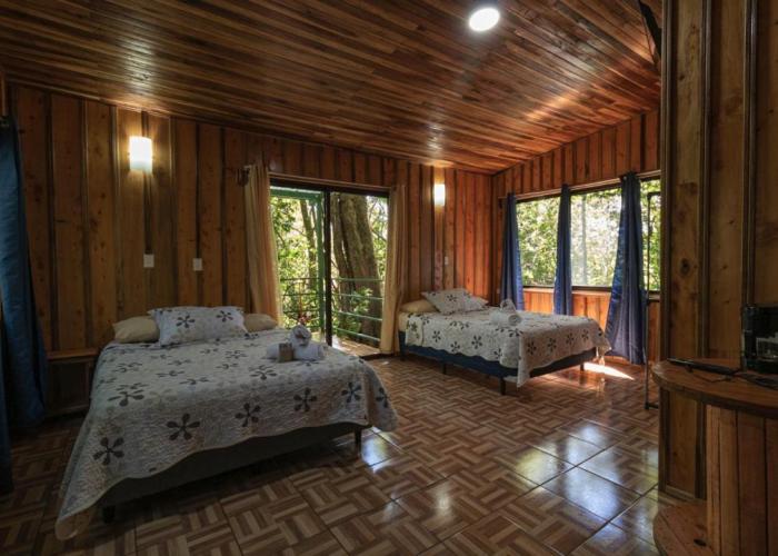 The Green Tree Lodge