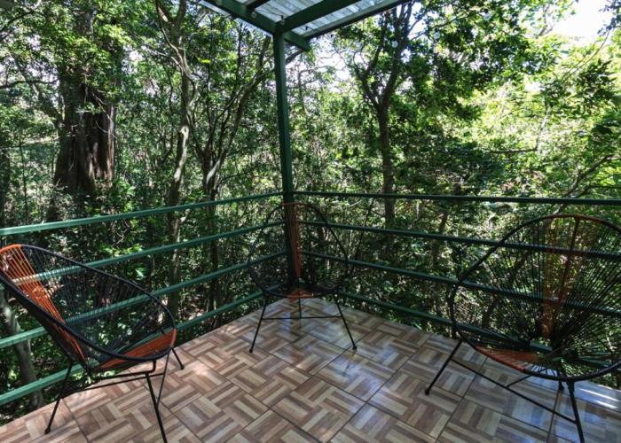 The Green Tree Lodge