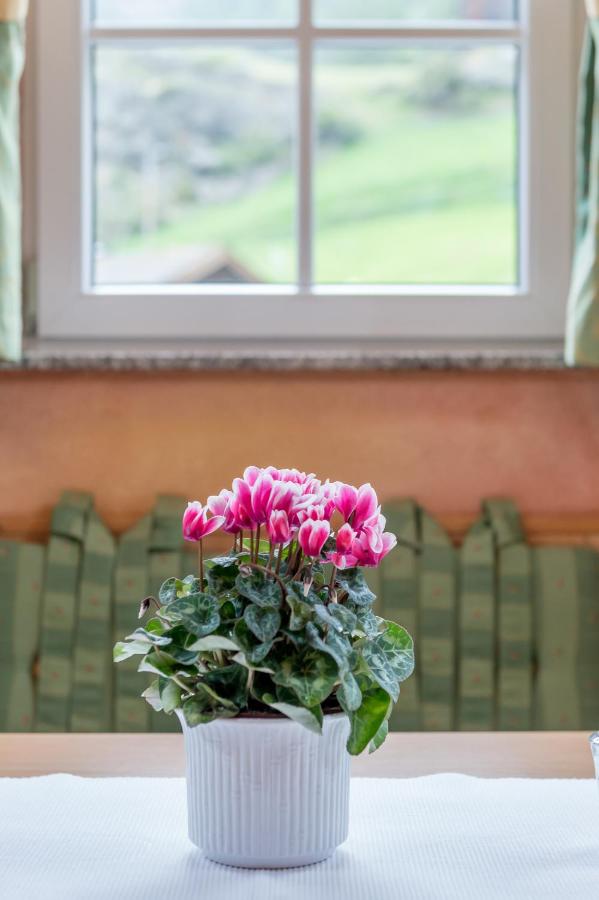 фото Villa Castelbell