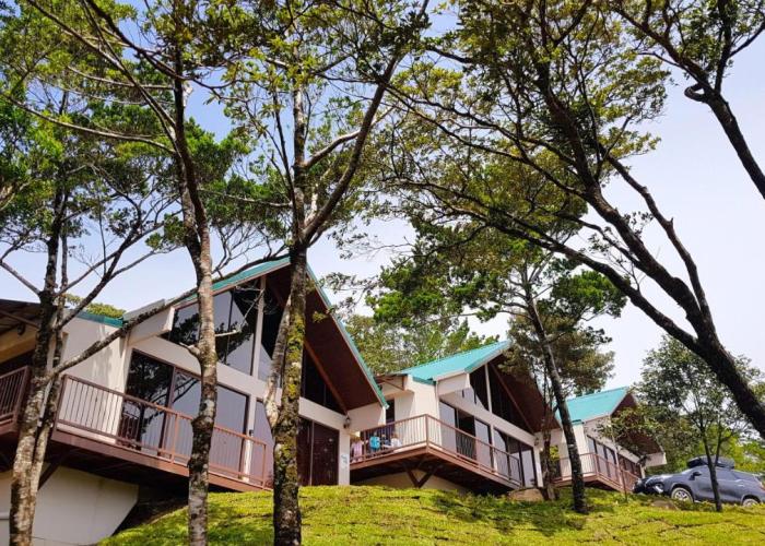 Green Forest Rustic Houses