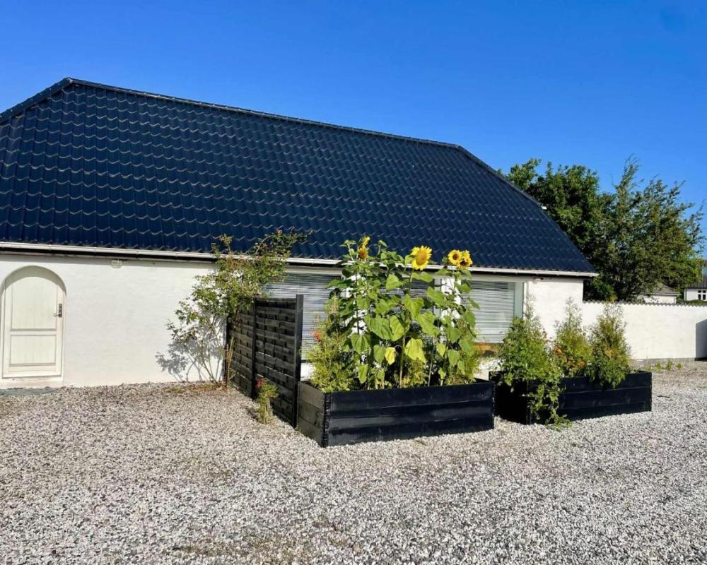 фото Lille Knudsgaard