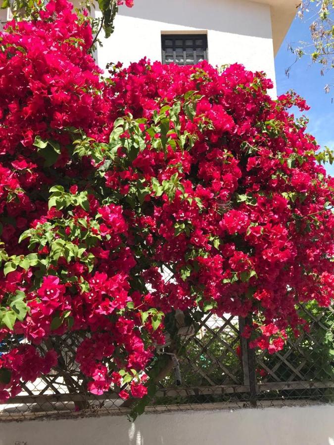 фото Amorgos Gardens