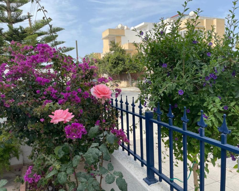 фото Amorgos Gardens