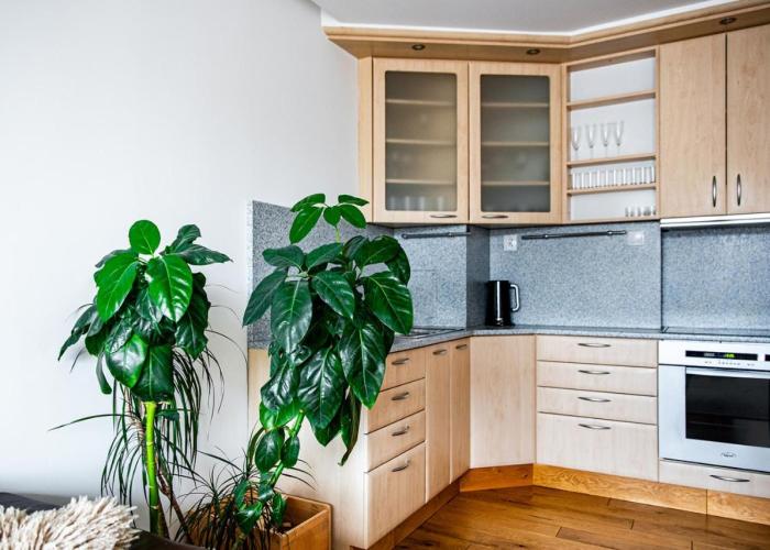 Apartmán Štrbské Pleso