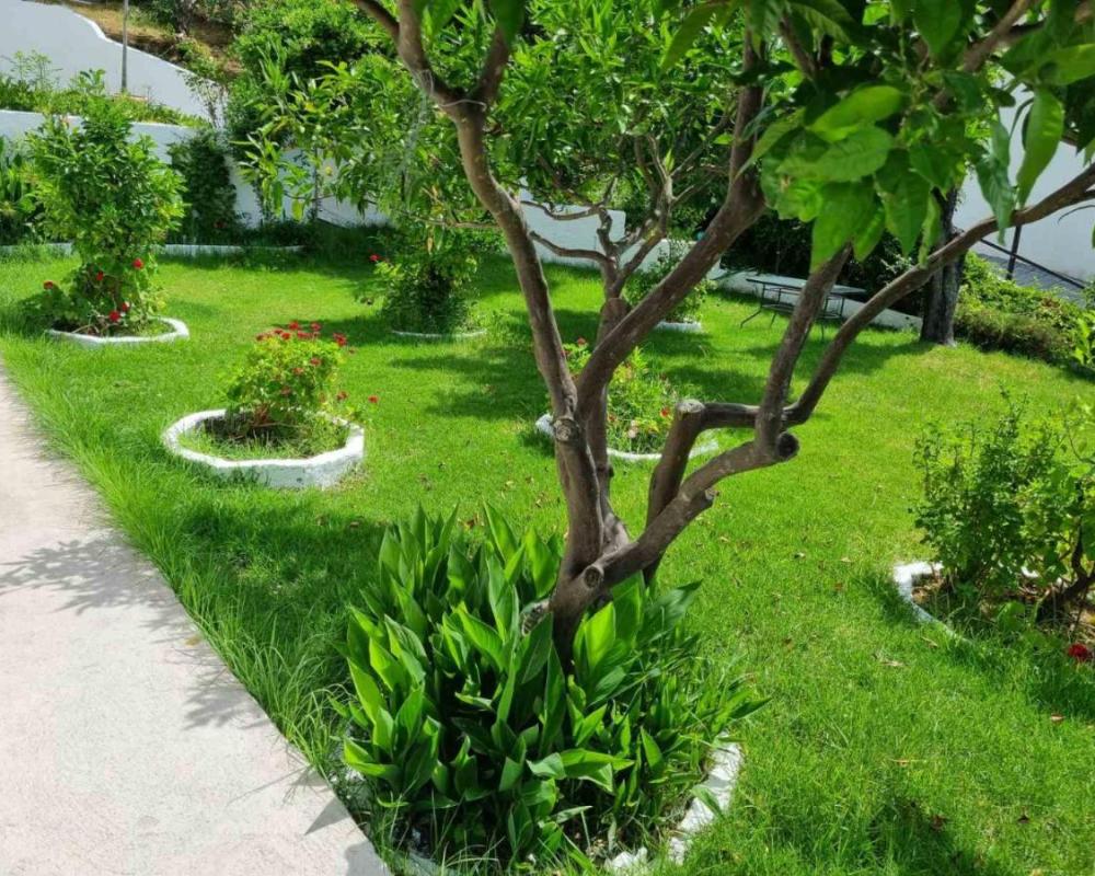 фото MANGO Skiathos