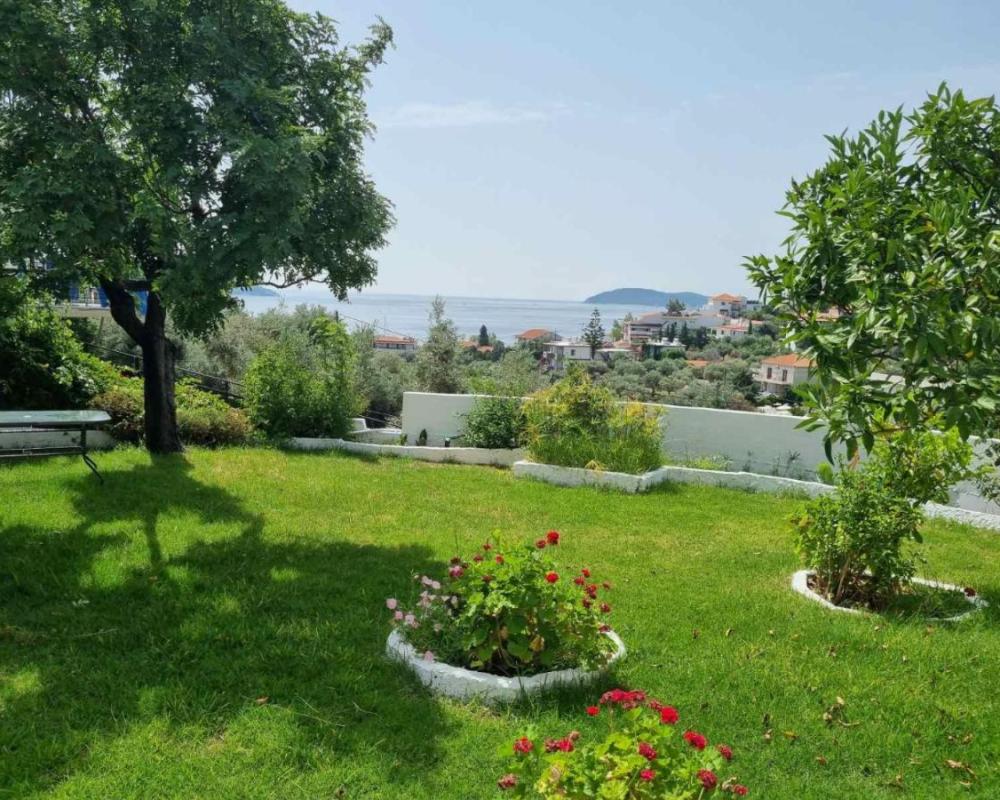 фото MANGO Skiathos