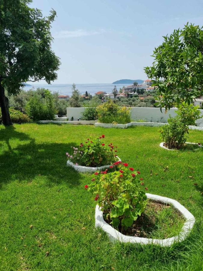 фото MANGO Skiathos