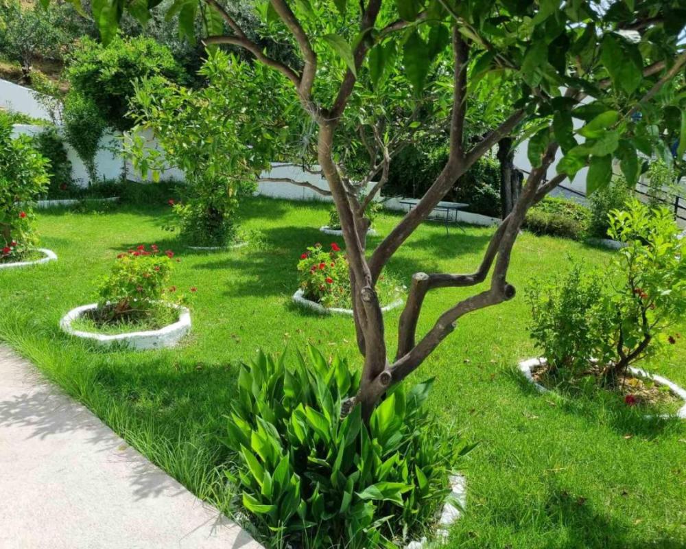 фото MANGO Skiathos