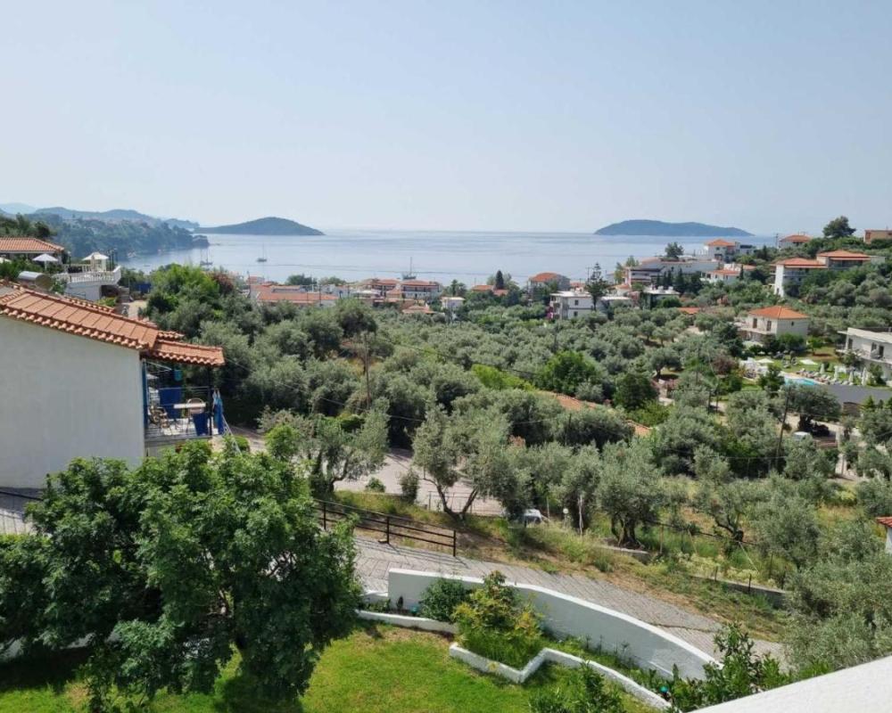 фото MANGO Skiathos