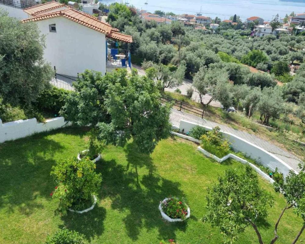 фото MANGO Skiathos