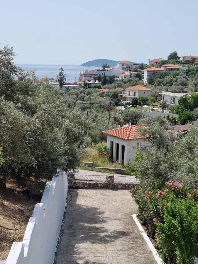фото MANGO Skiathos