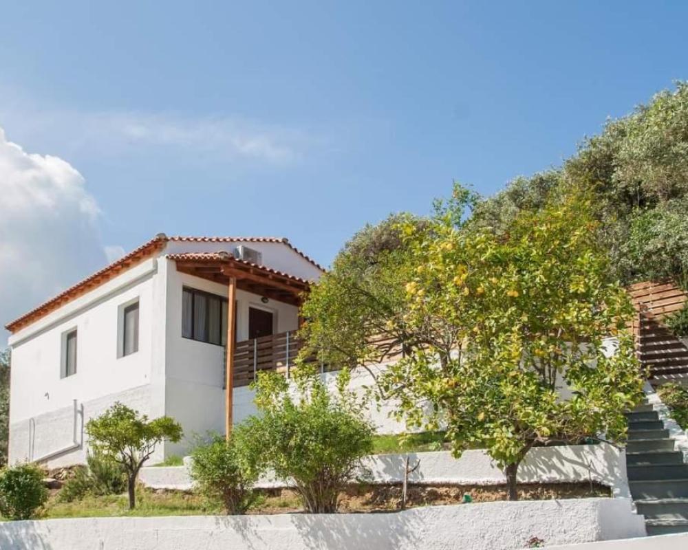фото MANGO Skiathos