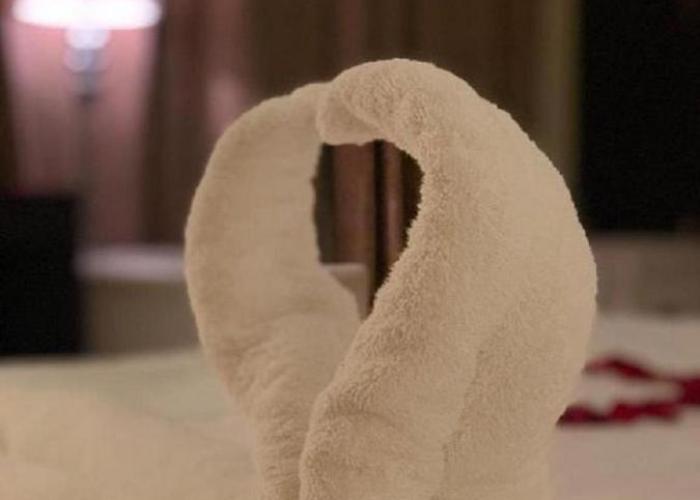 فندق البروج