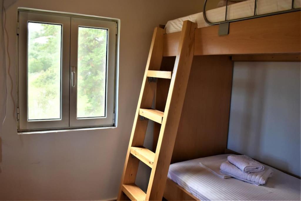фото Dolichi House