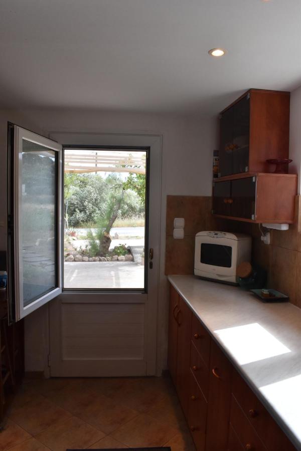 фото Dolichi House