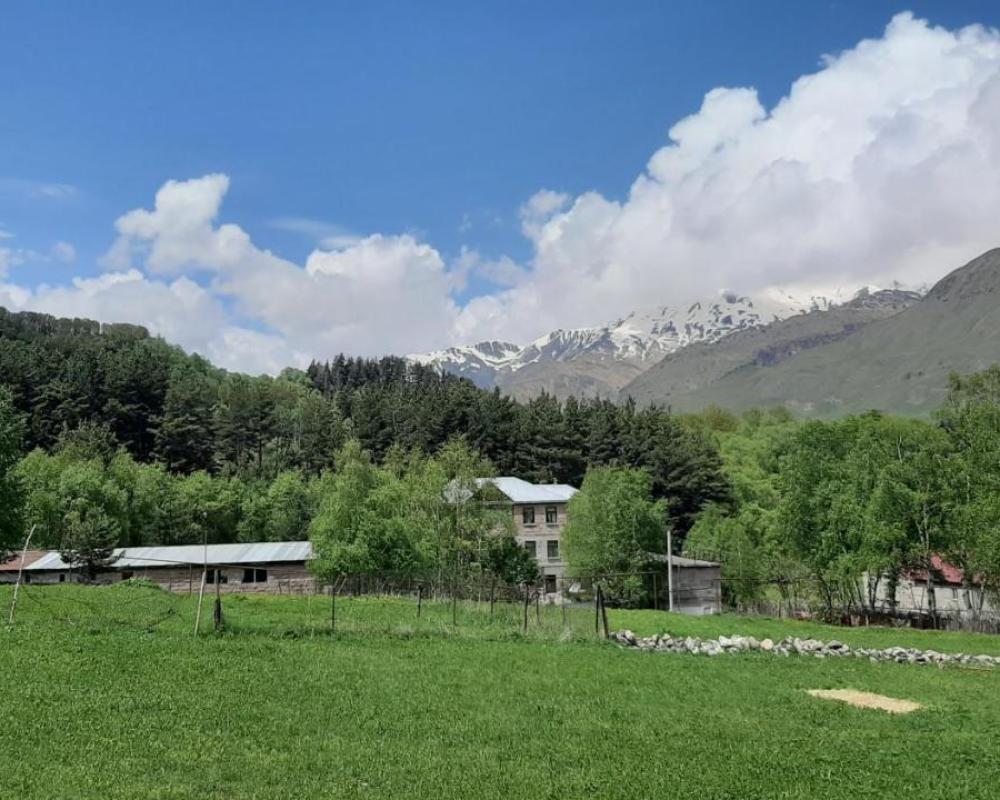 фото Terkhena