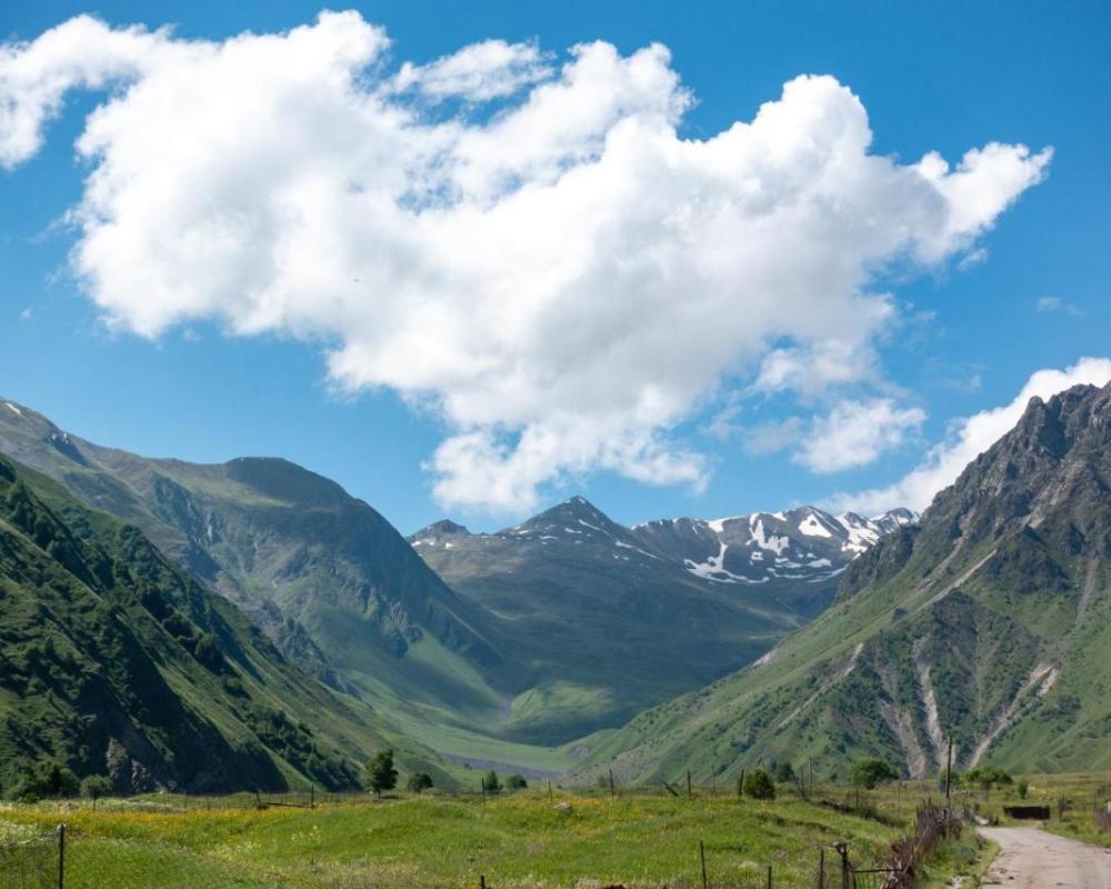 фото Terkhena