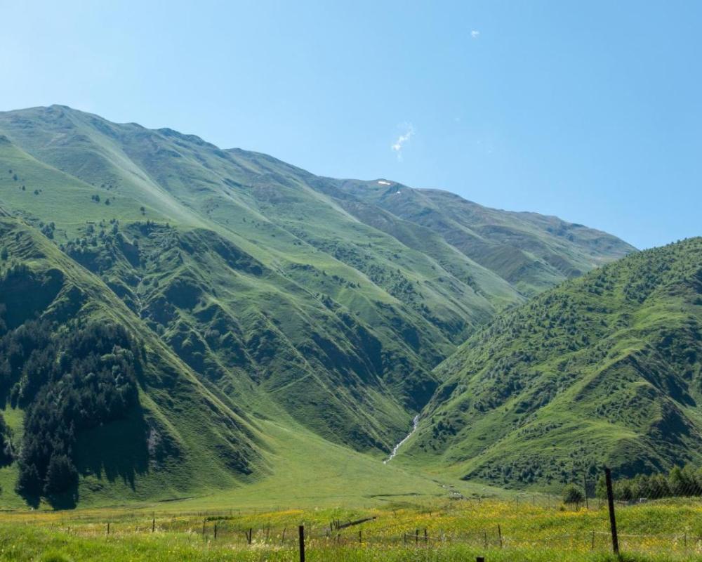 фото Terkhena