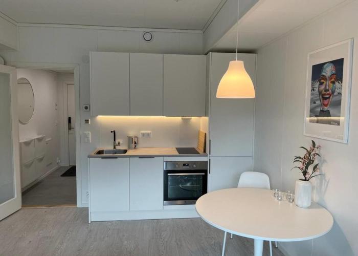 Lofoten Studio Penthouse