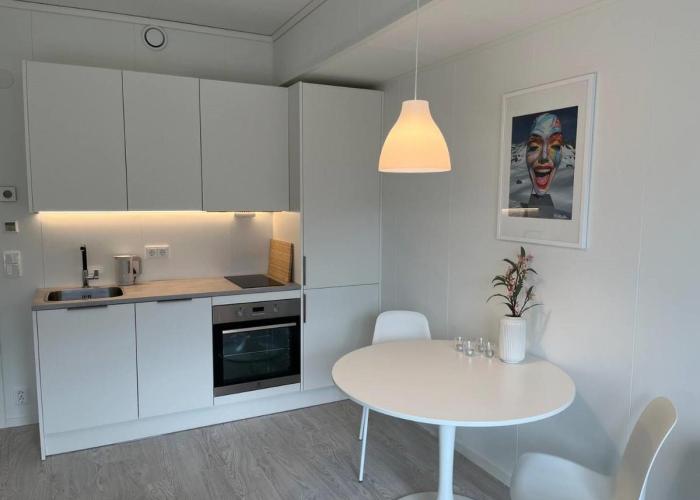Lofoten Studio Penthouse