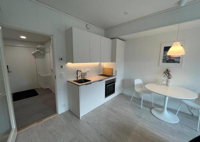 Lofoten Studio Penthouse