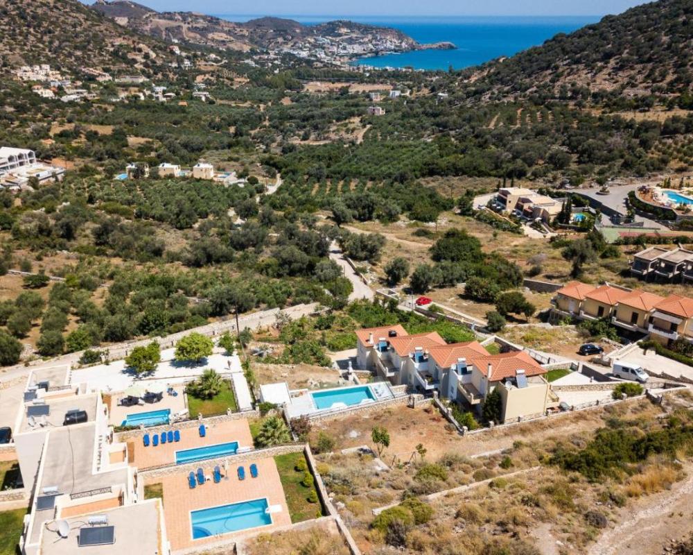 фото Diktamos