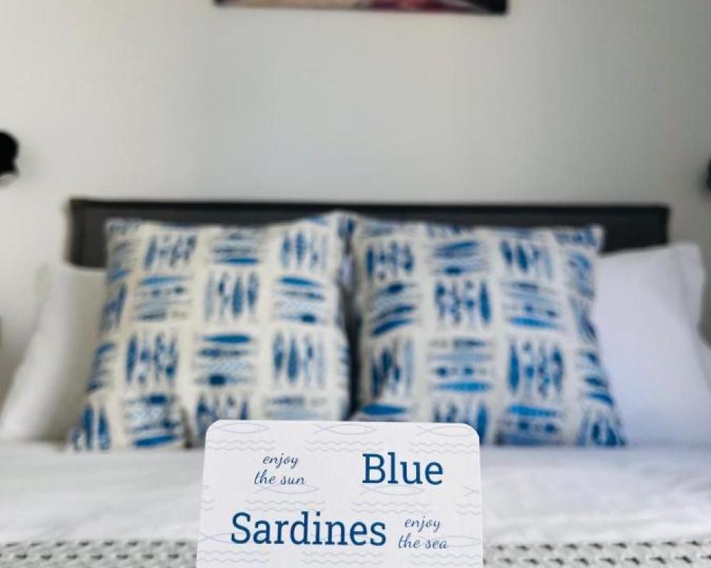 фото Blue Sardines