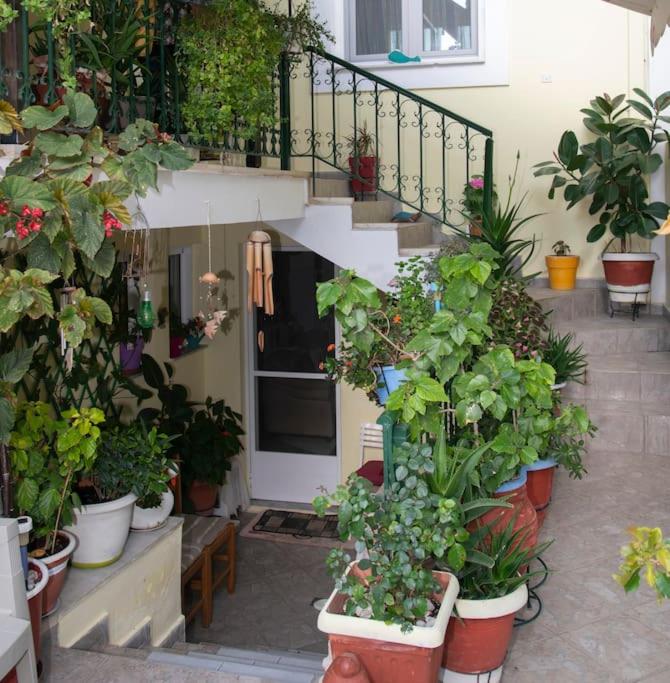 фото Μάνια