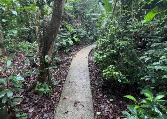 Tree House Bosque Nuboso Monteverde
