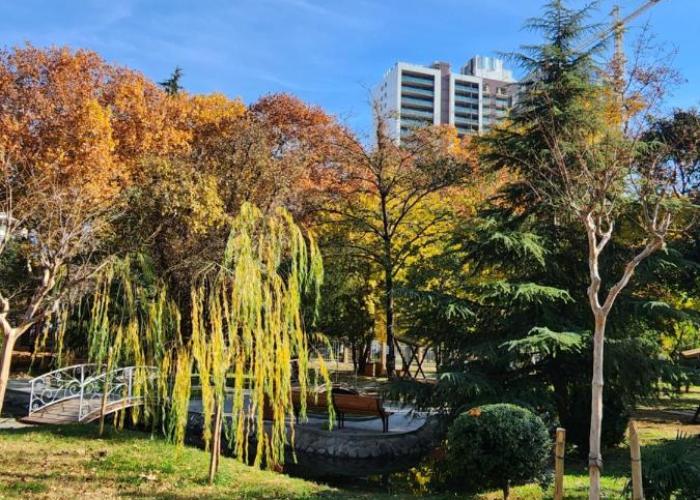 M2 Complex near City Mall with City View in City Center