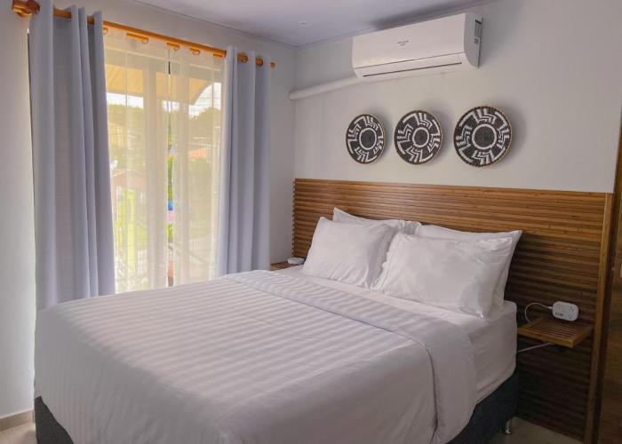 Monstera Apartments Monteverde