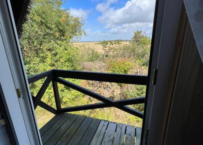 Charmerende sommerhus - natur, hygge og ro