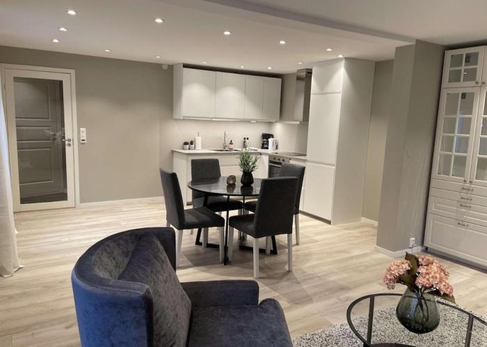 Downtown apartment high standard