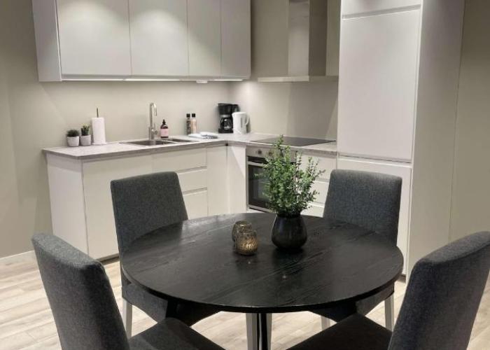Downtown apartment high standard