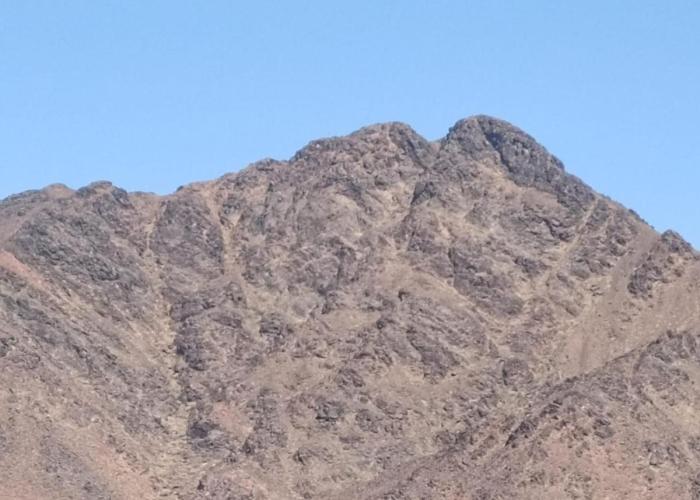 شقة الوادي المبارك 201