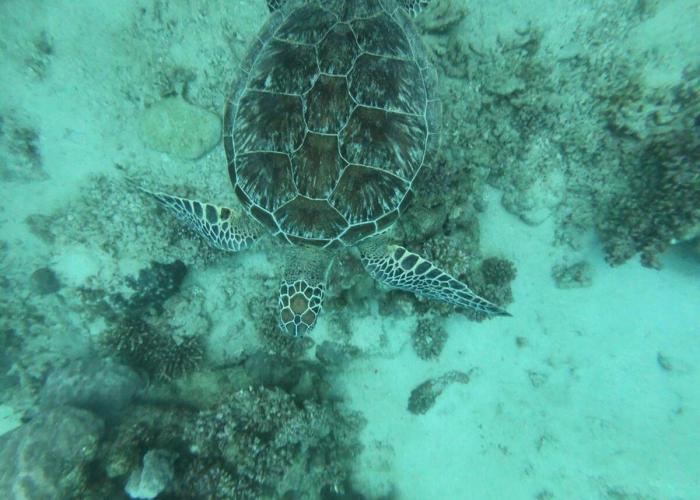 Desert & Sea Haven Marsa Alam