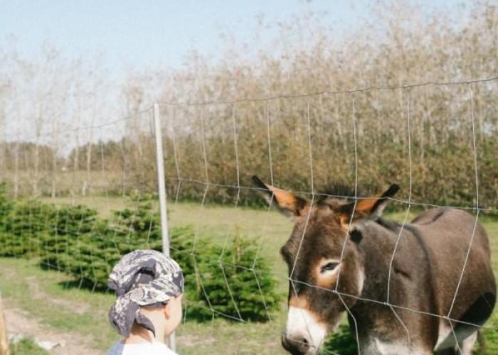 Løkken Klit GLAMPING