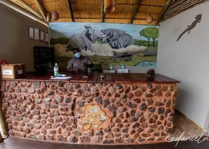 Chobe Mopani Forest Lodge & Camp site