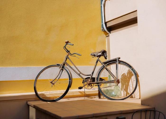 Can Blau Homes