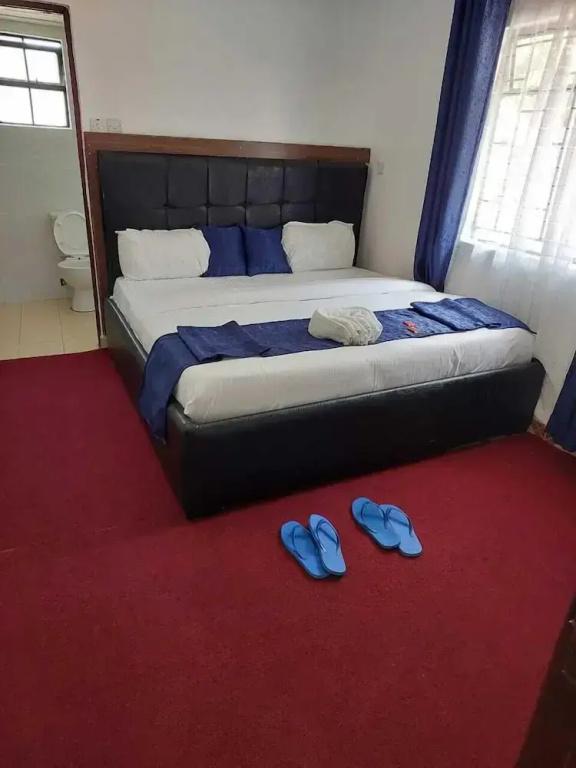 фото White House Lounge & Accommodation