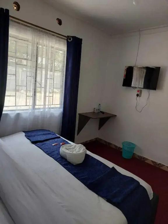 фото White House Lounge & Accommodation