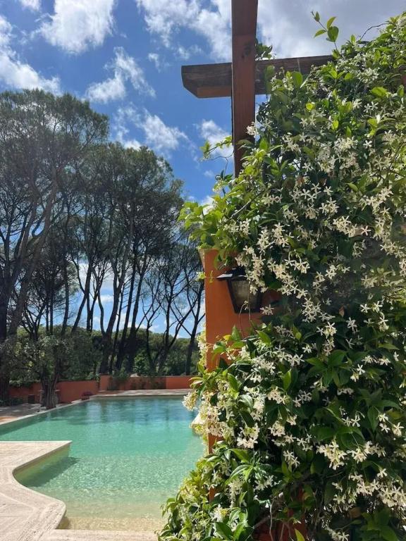 фото Hero's Garden Relais