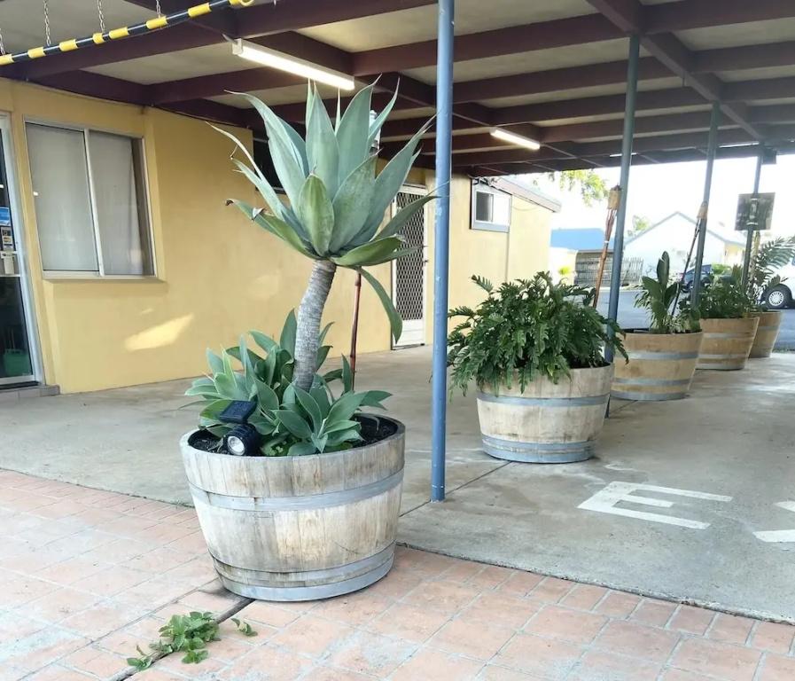 фото Proserpine Motor Lodge