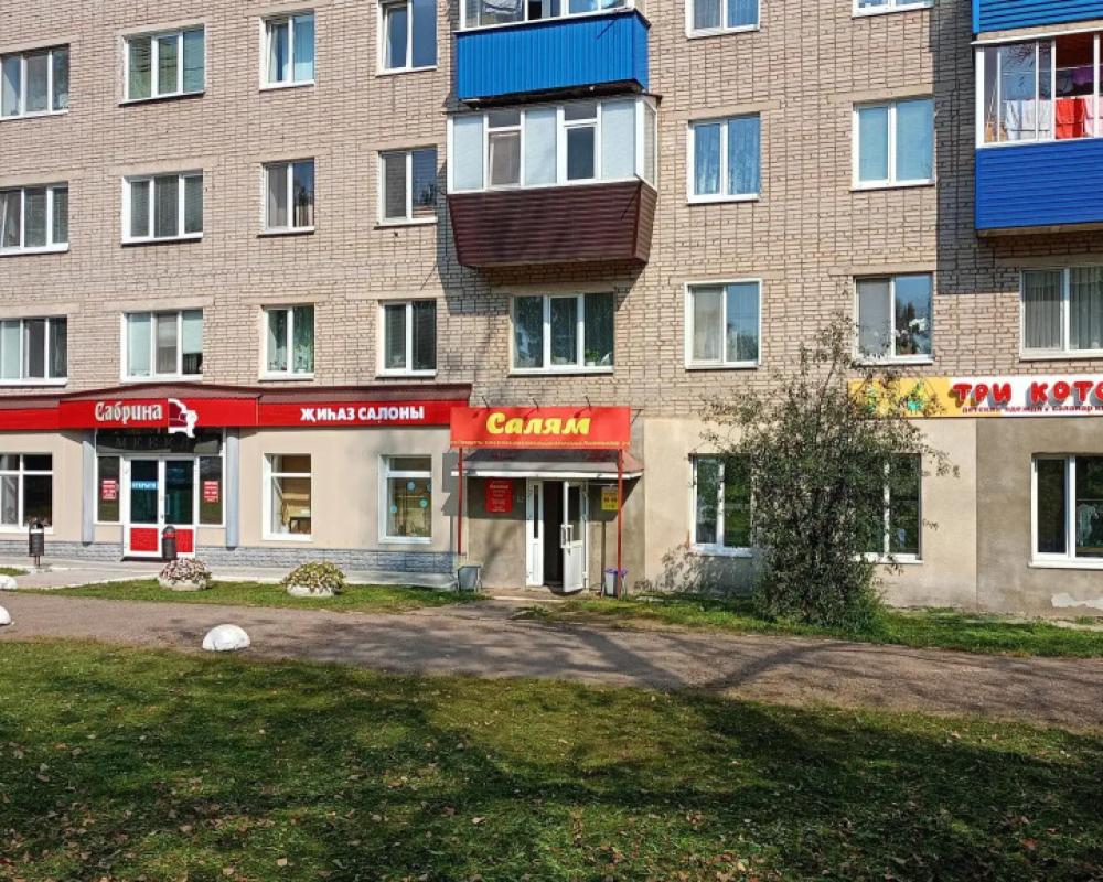 Bugulma Apartments on Mullanura Vakhitova Street 2