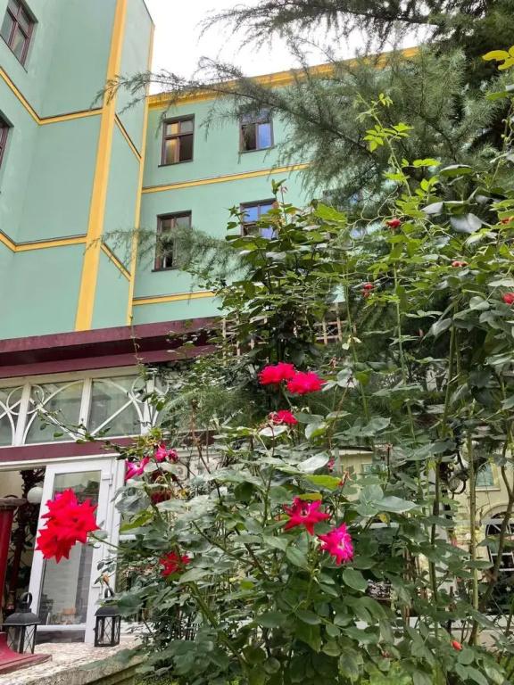 фото Hotel Viki