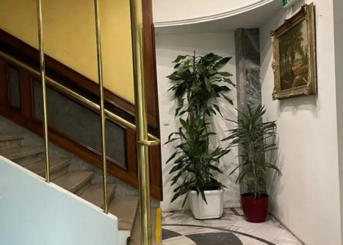 Hotel Viki