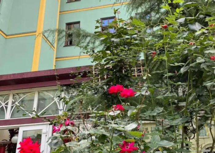 Hotel Viki