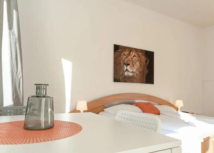CoLiving 3BR shared Apt. Belvedere