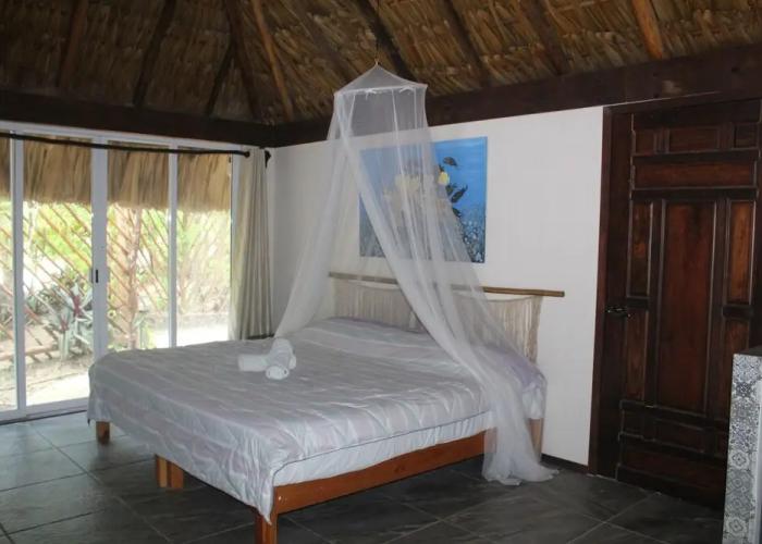 Vida Jungle Resort
